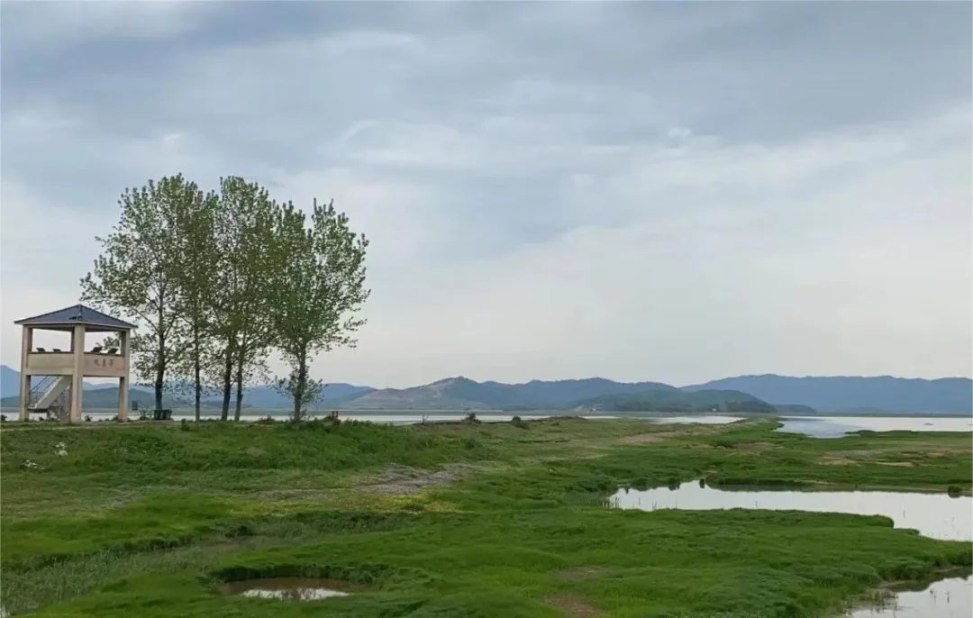 安徽安慶菜子湖國家濕地公園生態(tài)旅游招商項(xiàng)目